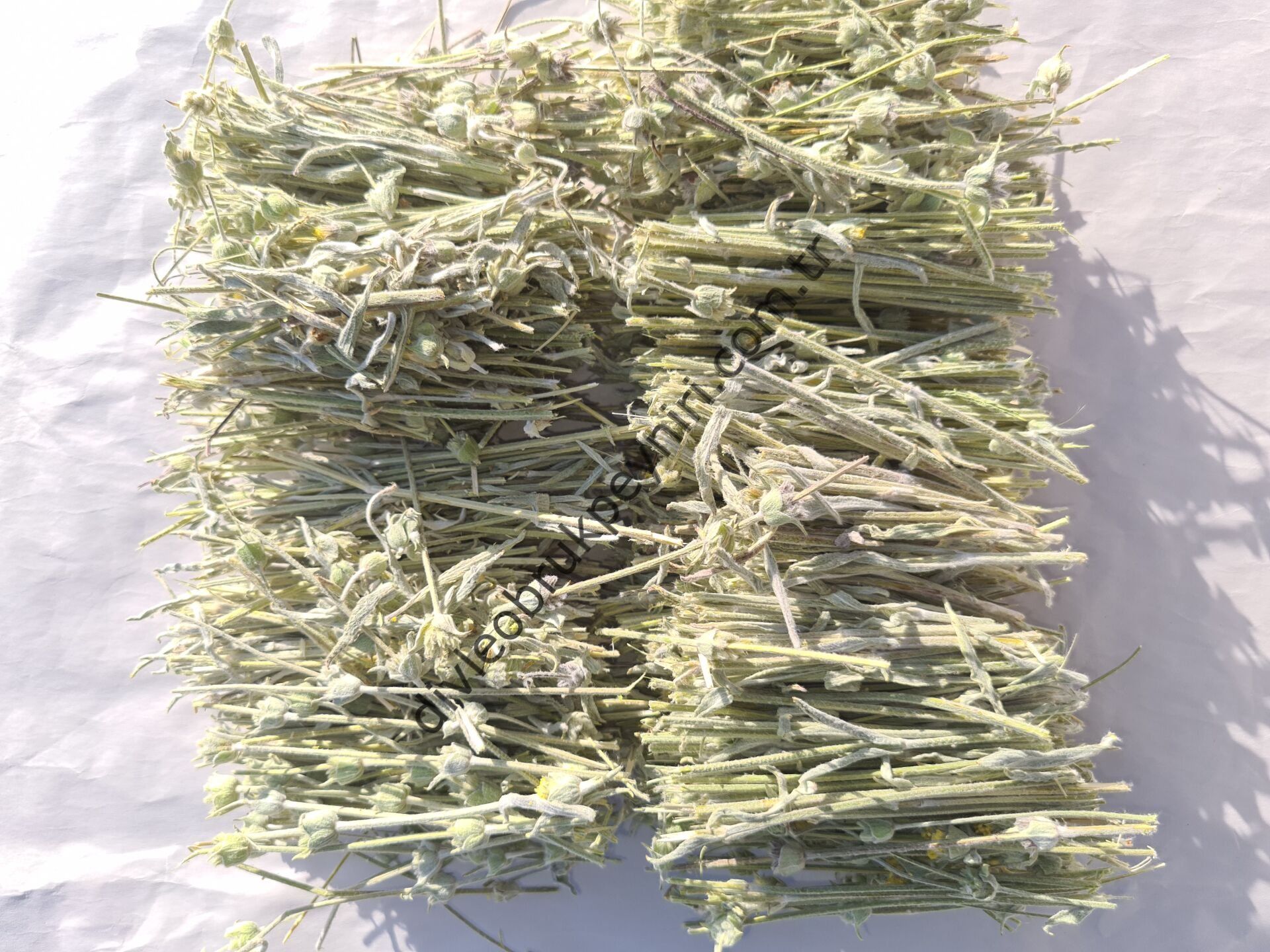 Dağ Çayı 100 gr
