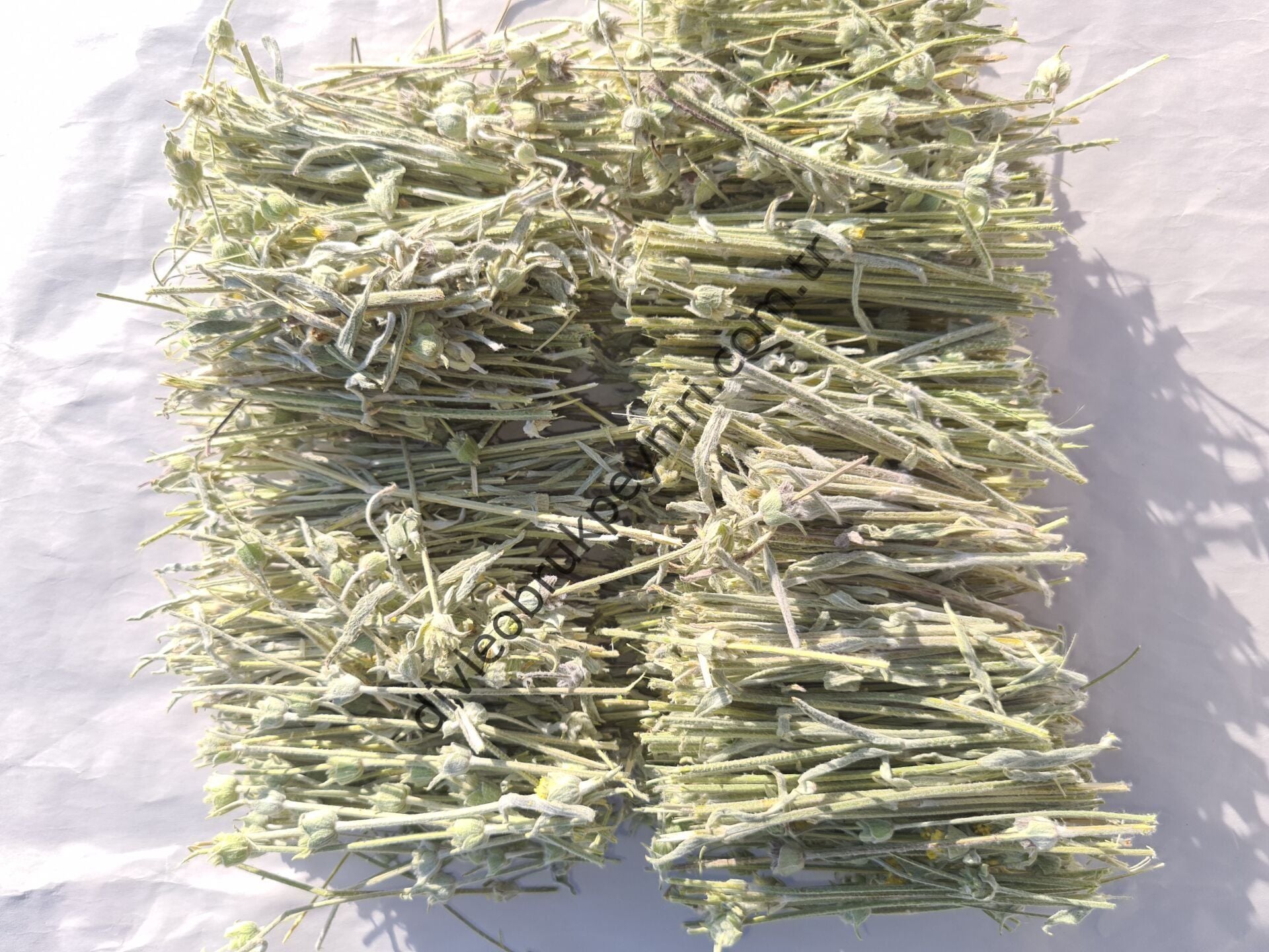 Dağ Çayı 100 gr