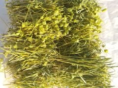 Dağ Çayı 100 gr